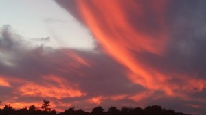 20140928_190131